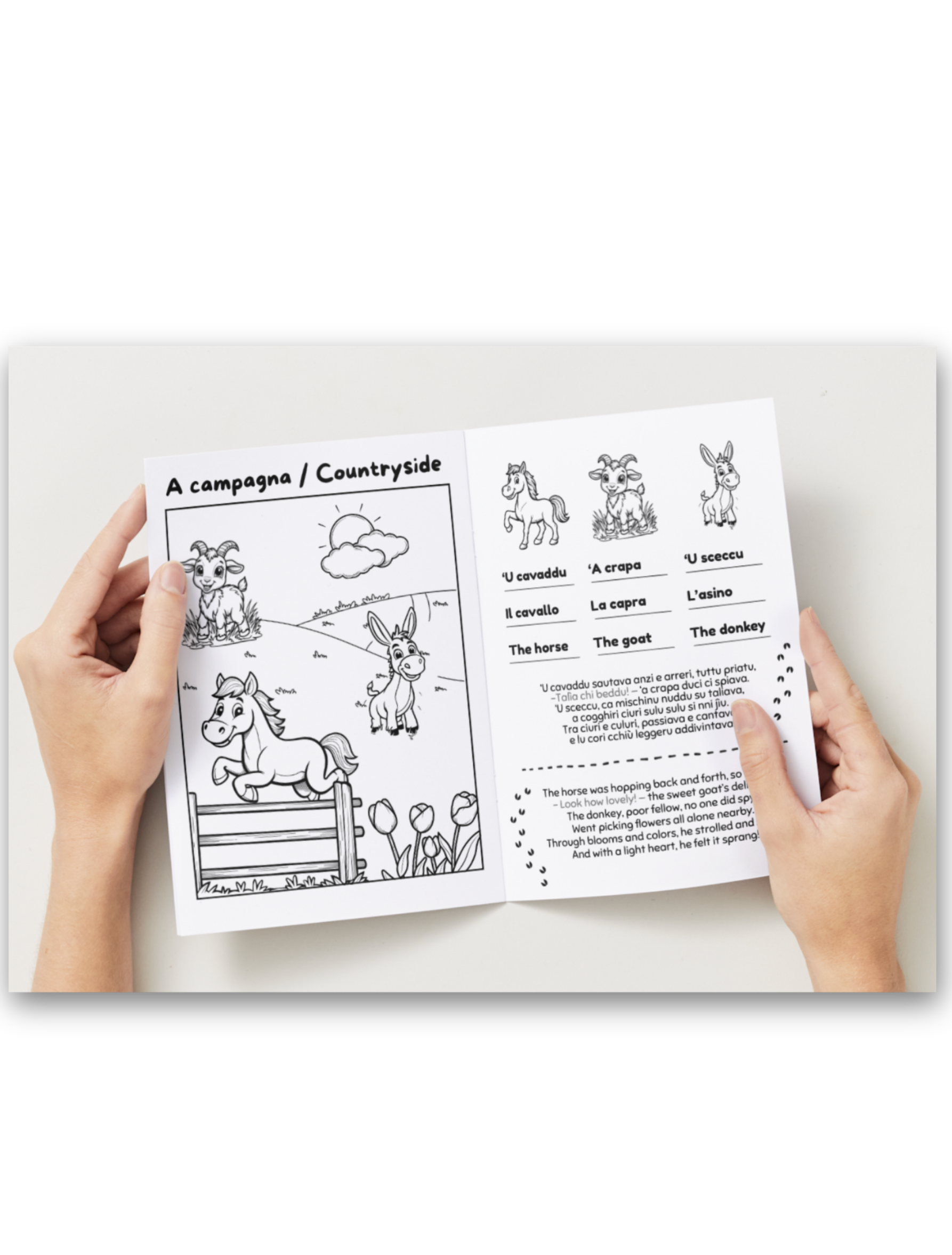 Coloring Booklet - Sicilianu & English